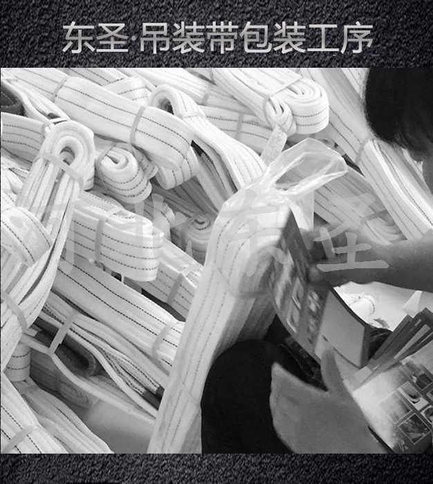河北東圣吊索具為您提供合成纖維吊裝帶產品